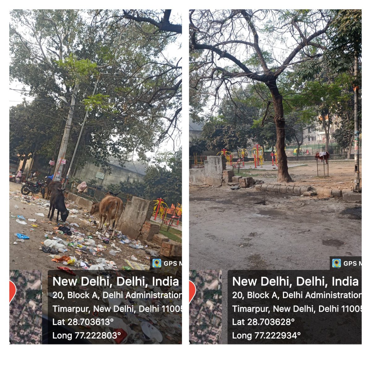 Ankita_Shah8's tweet photo. Clean Delhi is Utmost priority for AAP Councillors.
@promilagupta24
#SaafDilliSwachhDilli https://t.co/onONXWGApj