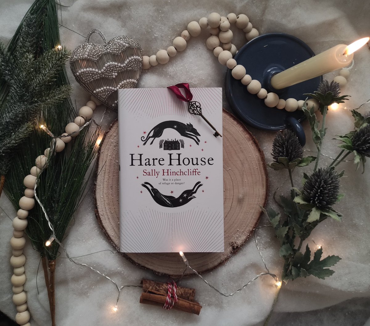 GoddessGore's tweet photo. Hare House by Sally Hinchcliffe for Christmas Evil Readathon for the "Black Xmas" prompt
#occultbooks #spookybooks #harehouse #sallyhinchcliffe #horrorbooks #bookstagram #horror #books #booktok #bookworm #horrorfan #horrorcommunity #horrorfiction #booknerd #BookTwitter #bookish https://t.co/AeT0QZEJYj