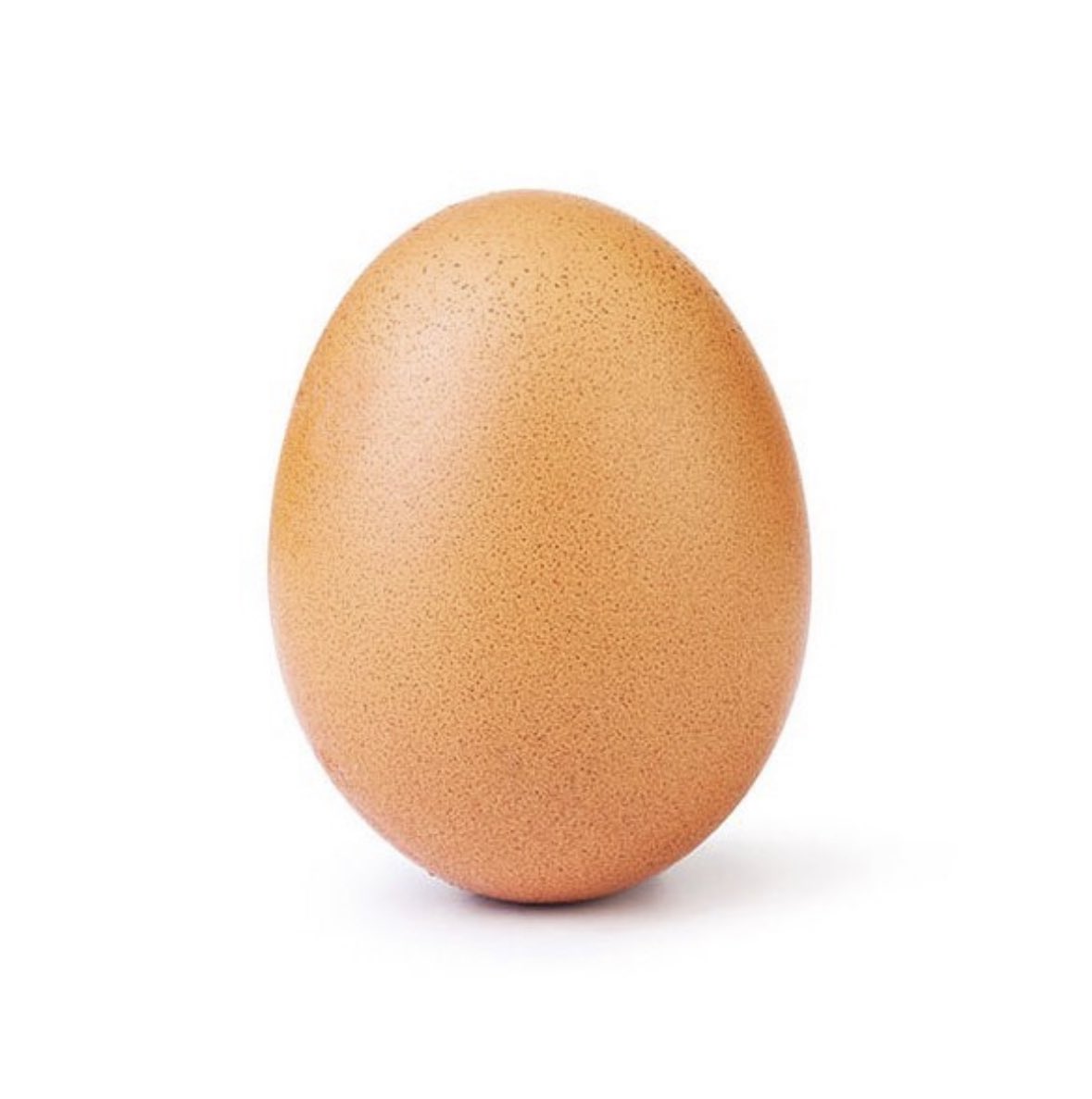 PopBase's tweet photo. Messi’s World Cup victory officially breaks the record for most liked Instagram post in history, surpassing the Egg. https://t.co/Cov0HzhtYT