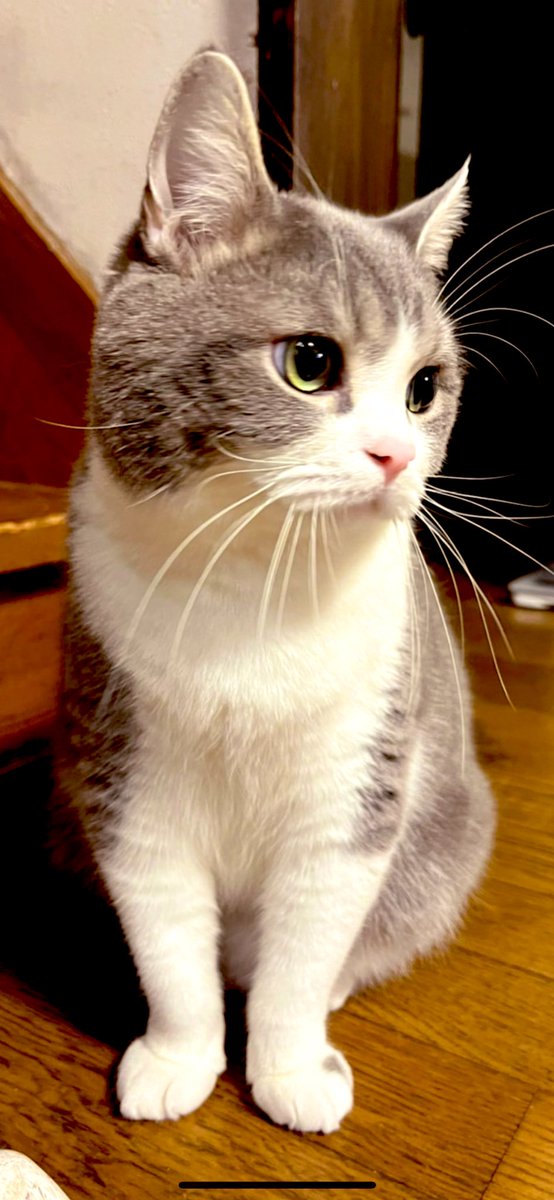 最強の癒し🥺♥️