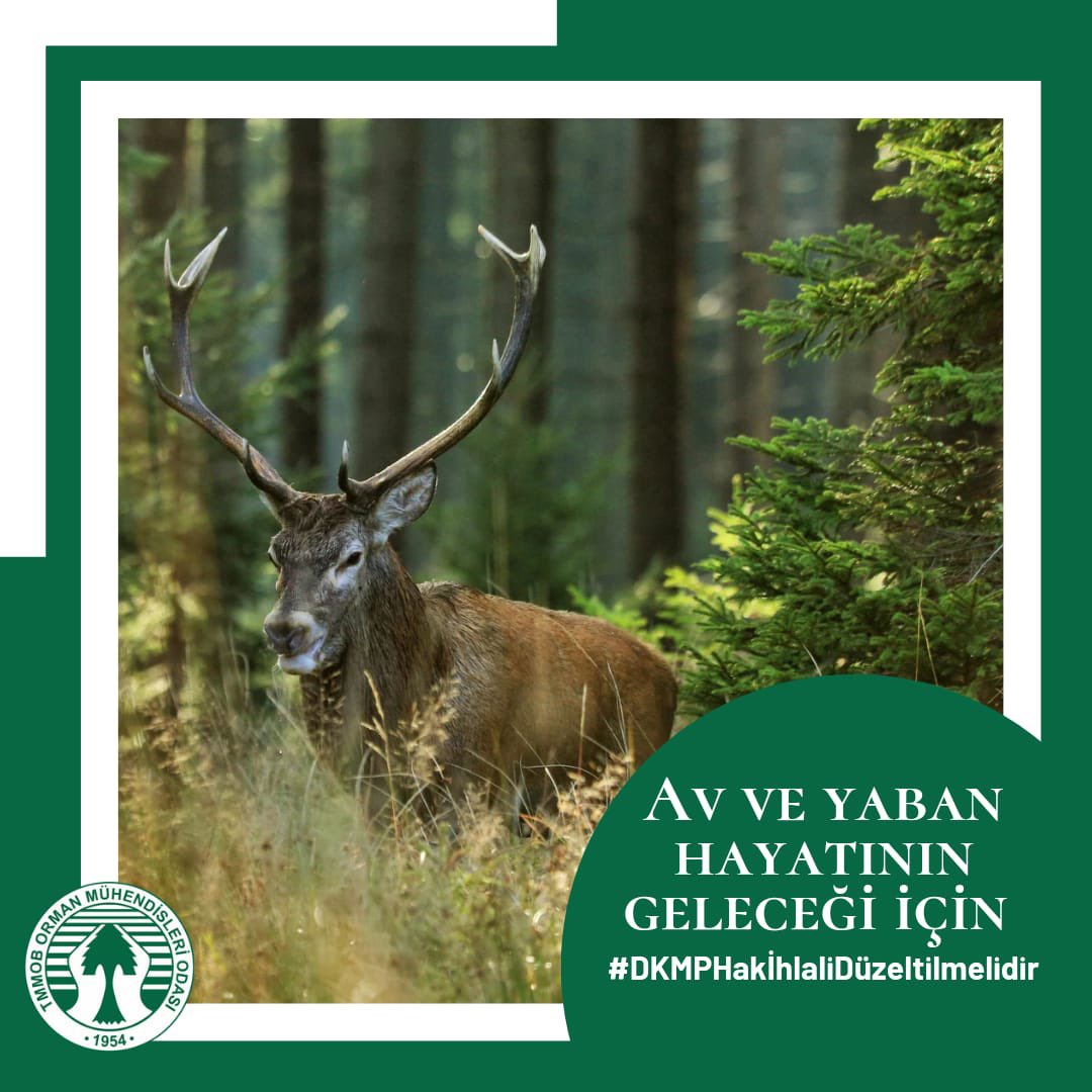Doğa Koruma ve Milli Parklar Genel Müdürlüğü’nde münhal bulunan Milli Park Şefliklerine Ziraat Mühendisi atamasına ilişkin mevzuata ve teamüllere aykırı fiilin acilen düzeltilmesini istiyoruz.
#DKMPHakİhlaliDüzeltilmelidir