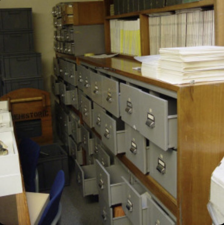 Elisa Broccoli tweet media