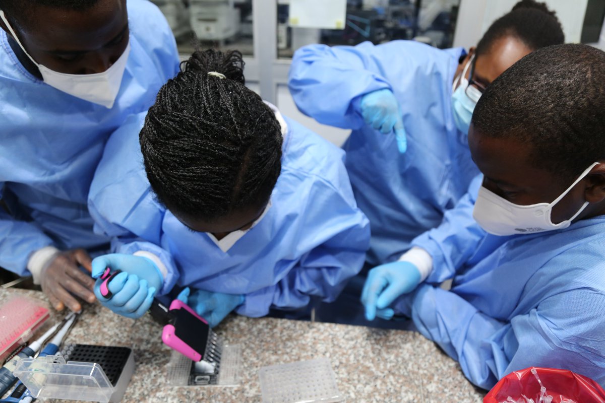 acegid_igh's tweet photo. Our partners from the @broadinstitute were here to train our team on mCARMEN, our CRISPR-based surveillance detection technology that can simultaneously distinguish multiple pathogens from multiple samples in one run.
#pandemicprevention #pathogenhunters https://t.co/j6HjDUYnC9