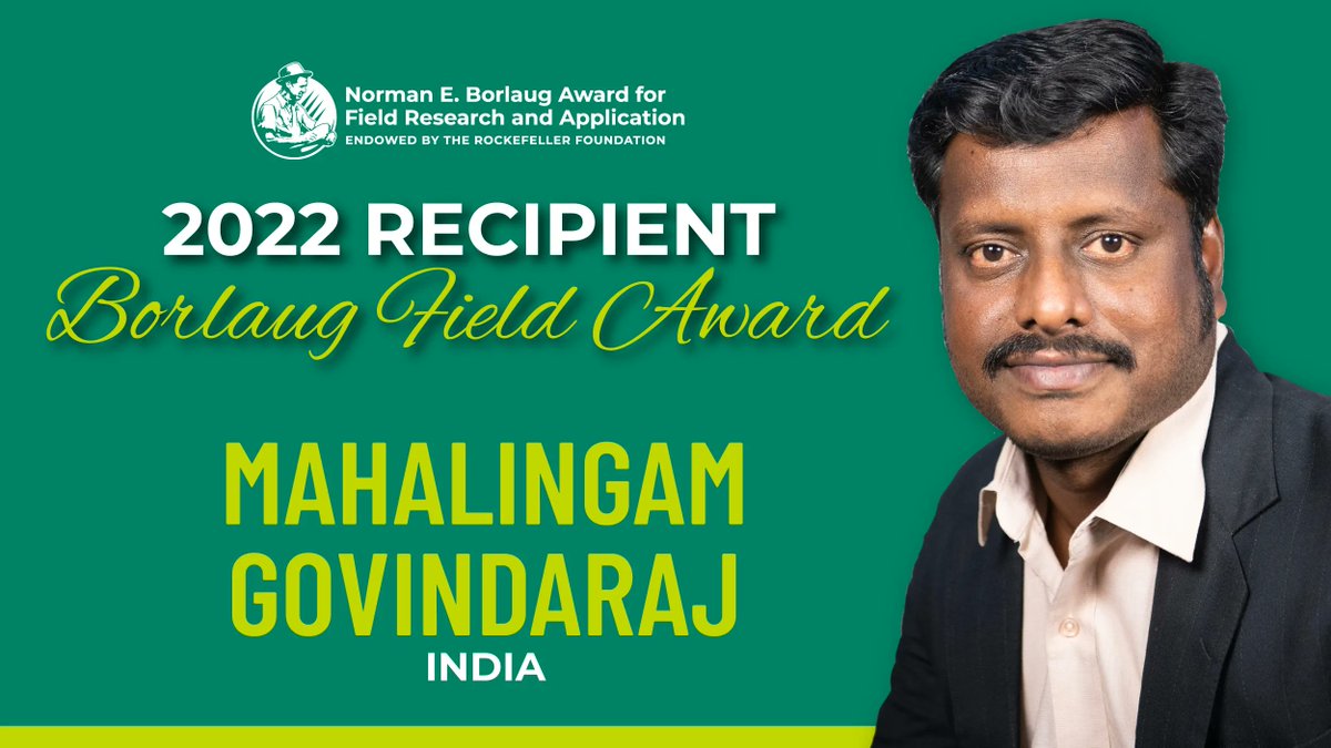 CGIAR's tweet photo. ๐ซ A 2022 highlight!
CGIAR's Dr Mahalingam Govindaraj, Senior Scientist for Crop Development at @HarvestPlus and @BiovIntCIAT_eng, received the 2022 Norman E. Borlaug Award for Field Research and Application.
๐ https://t.co/UiOwgs8r5i
#OneCGIAR #BFA22 @WorldFoodPrize https://t.co/X0gPy50tpM