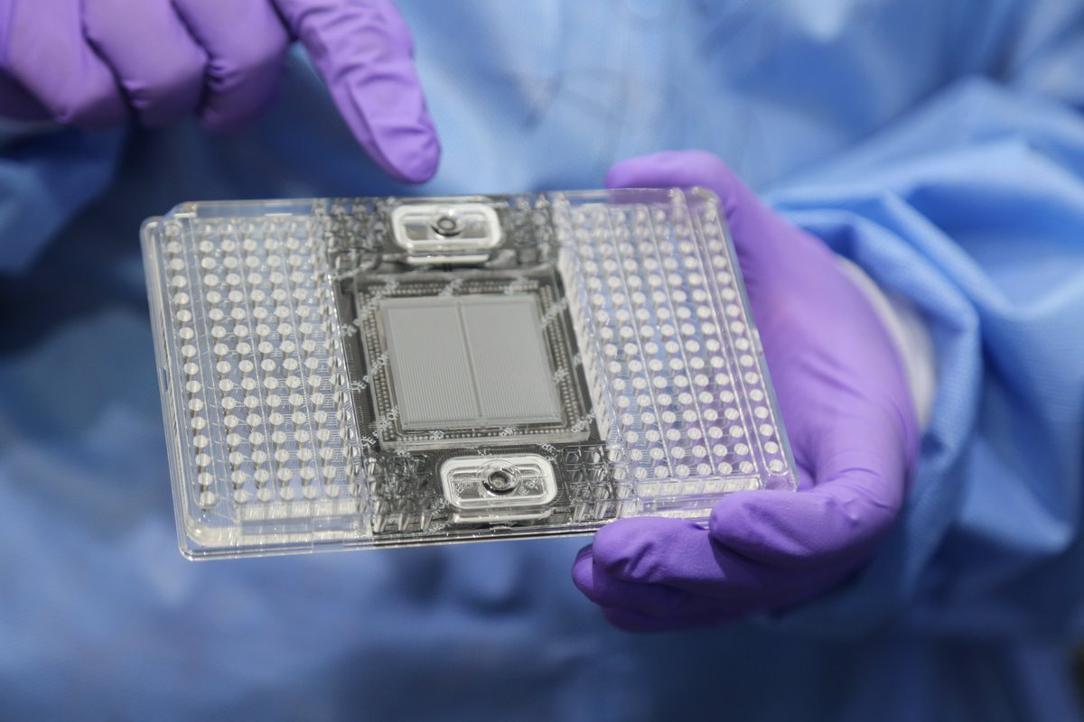 acegid_igh's tweet photo. Our partners from the @broadinstitute were here to train our team on mCARMEN, our CRISPR-based surveillance detection technology that can simultaneously distinguish multiple pathogens from multiple samples in one run.
#pandemicprevention #pathogenhunters https://t.co/j6HjDUYnC9