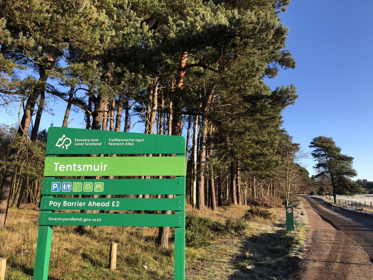 Planning at Tentsmuir [1]

Our team are making plans for Tentsmuir forest in Fife to help manage the area over the next decade, and we need your help. Tentsmuir is a haven for wildlife and a great place to visit, but it also faces several challenges...
