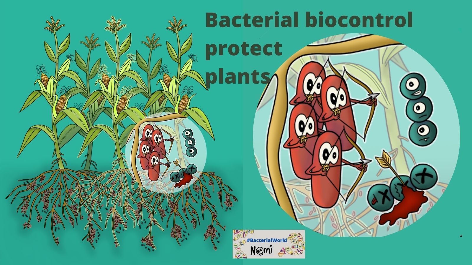 BacterialWorld on Twitter "More and more people on this need