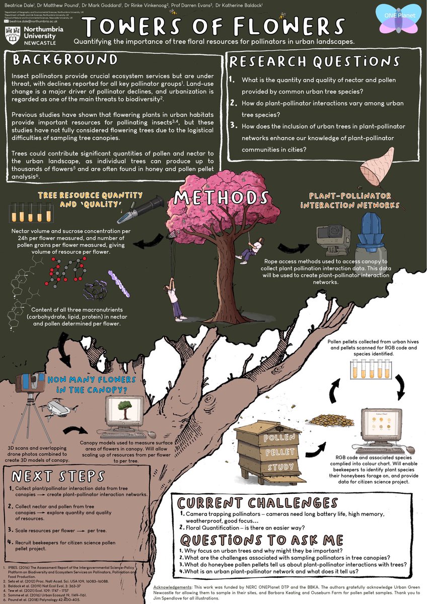 Beatrice Dale (@beatricedale20) on Twitter photo I’ll be sharing my research poster this evening at the British Ecological Society Annual Meeting <a href="/BritishEcolSoc/">British Ecological Society</a> . Come and chat to me about all things pollinators and urban trees 🌳 🐝 #BES2022 I’ll be sharing my research poster this evening at the British Ecological Society Annual Meeting <a href="/BritishEcolSoc/">British Ecological Society</a> . Come and chat to me about all things pollinators and urban trees 🌳 🐝 #BES2022