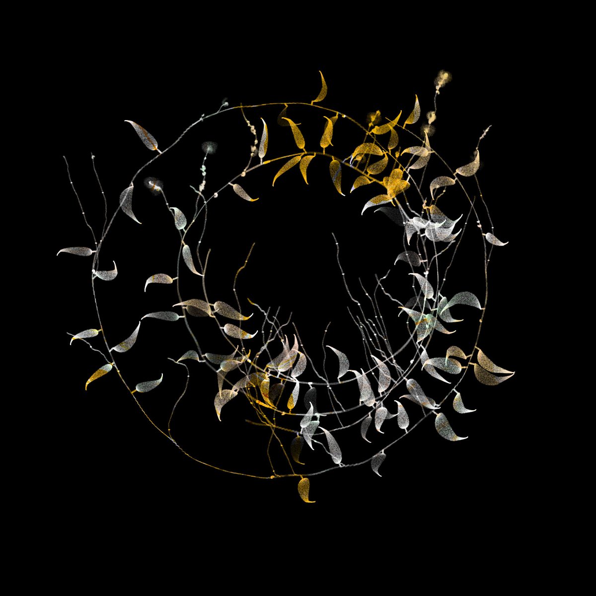 AluanWang (@ioivm) on Twitter photo 