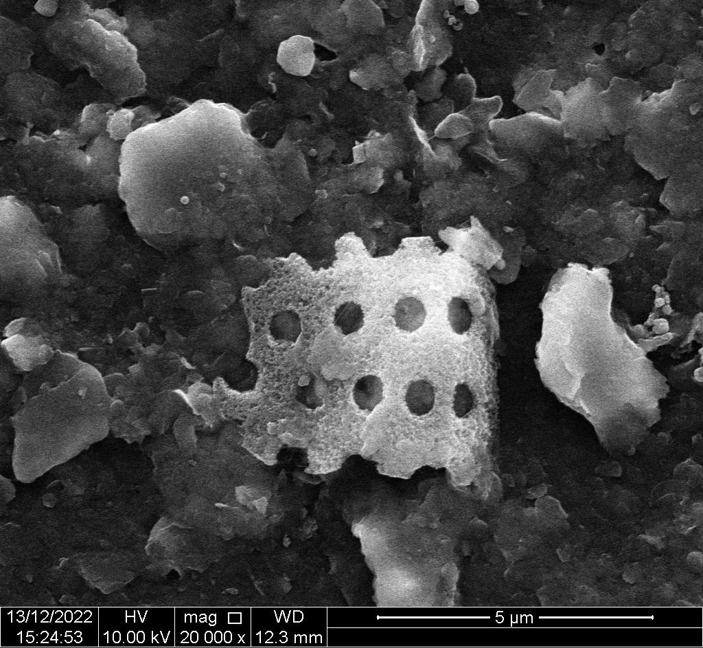 I honestly don’t have a clue what that could be - found on plastic after it was rinsed with DDH2O and observed on  #SEM