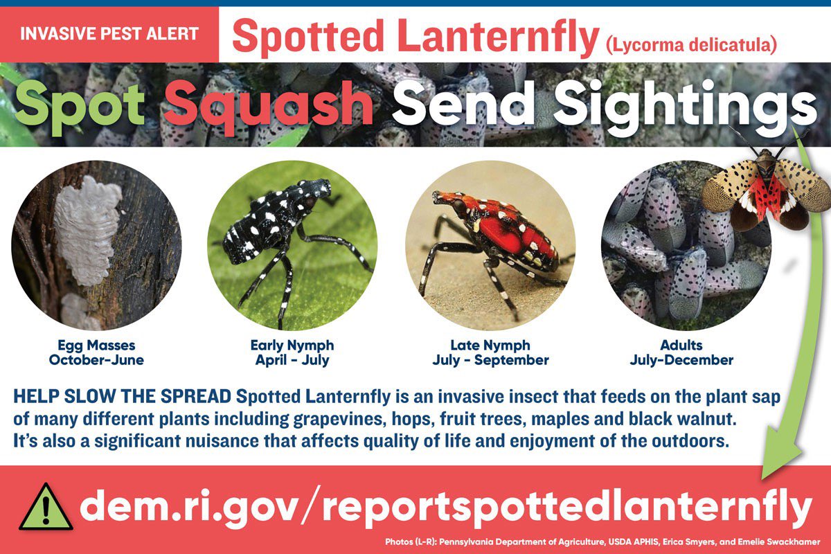 Rhode Island Dept of Environmental Management tweet media