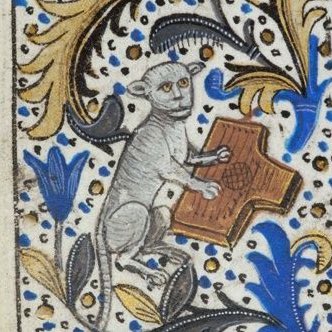 Dr Florence H R Scott tweet media