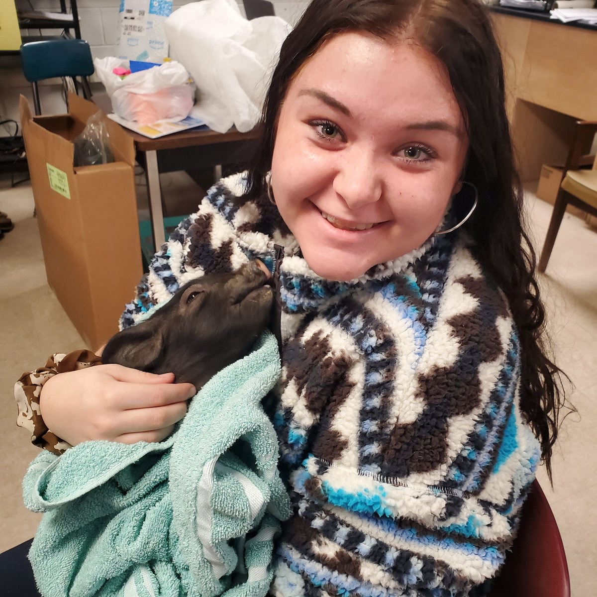 Our Pre-Vet students are learning about piglets with hands-on experiences today <a href="/UHS_FCPS/">Urbana HS (MD)</a>