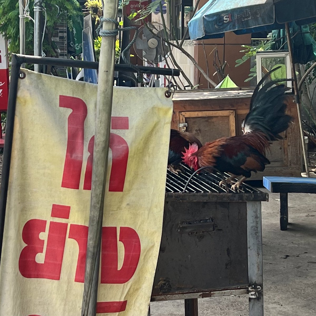 สุกอ้ะยางงงง🐓