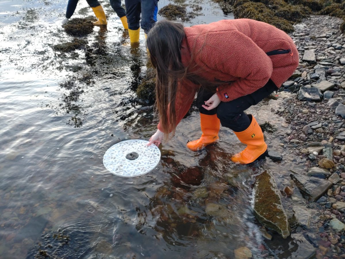 OceanonLandTech's tweet photo. It was great to see the whole team involved with our final lobster release of the year! The water was a very fresh 9°C but neither the team nor the lobsters seemed to mind as they gathered to release 2700 juveniles from their Aquahive into the wild. 
 
#lobsterrelease #orkney https://t.co/nLvYptkQOI