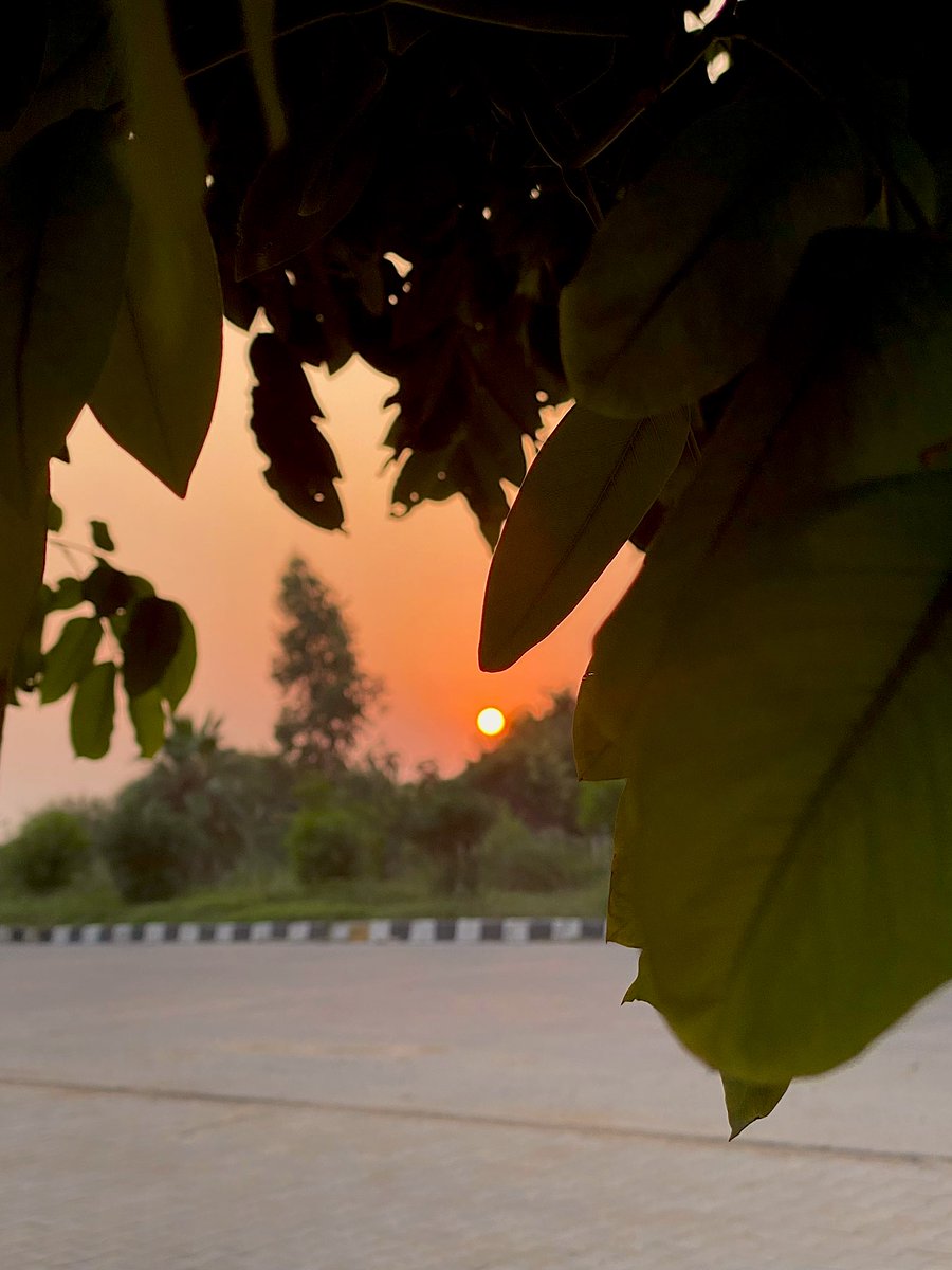 Chandigarh diaries 🌇

#Sunsets #Chandigarh