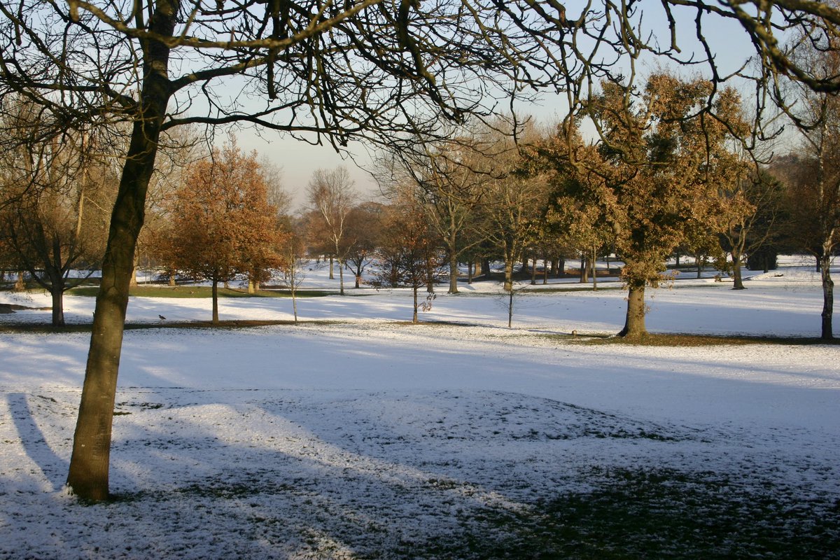 Help save the #trees on #WimbledonPark golf course and protect the #environment - see how at SaveWimbledonPark.org