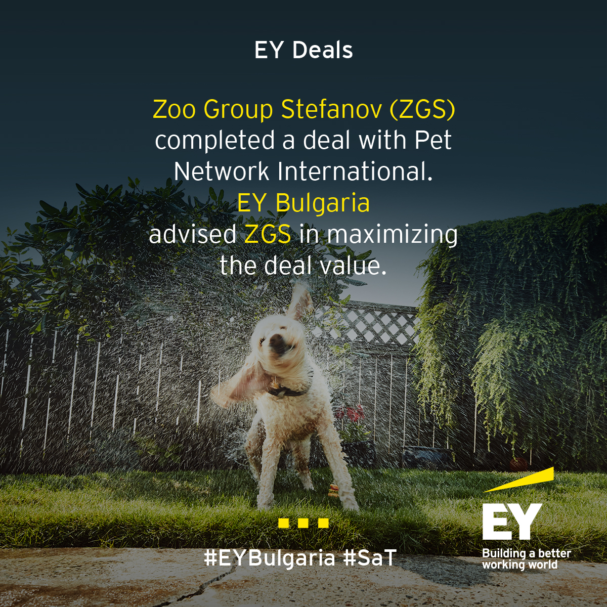 We’re finishing off the year with another success story from our Strategy and Transactions team. 

Congratulations to our client and our team on this great achievement!