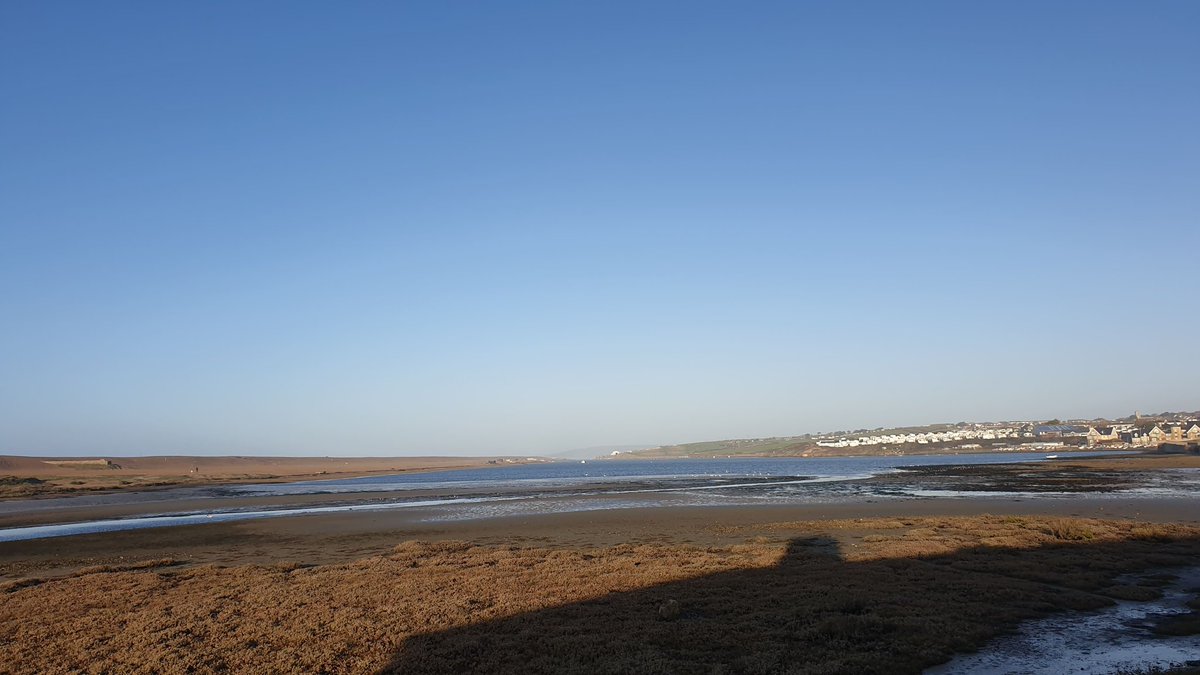 A glorious morning down here at Chesil! Don't forget we close at 4pm today and will be back at 10am on the 26th! 🎄😊