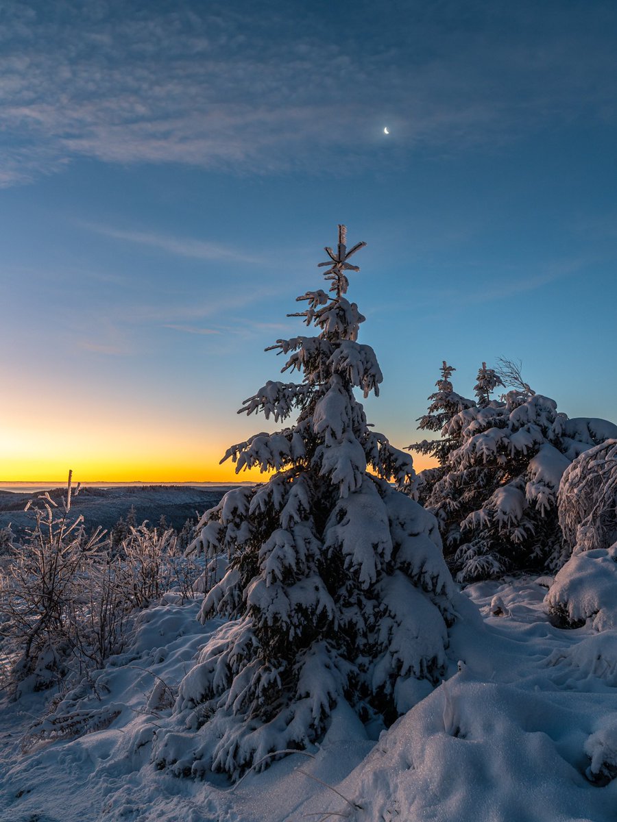 CedricSchell's tweet photo. Et dire que ce paysage se trouve à même pas une heure de Strasbourg. 😍 https://t.co/V2uuUY4EoJ