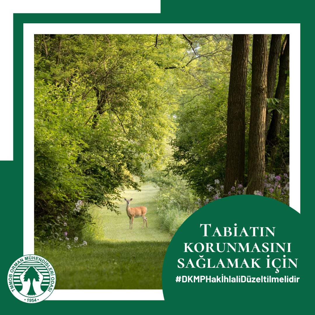 oguuzz19's tweet photo. Doğa Koruma ve Milli Parklar Genel Müdürlüğü’nde münhal bulunan milli Park Şefliklerine Ziraat Mühendisi atamasına ilişkin mevzuata ve teamüllere aykırı fiilin acilen düzeltilmesini istiyoruz.
#DKMPHakİhlaliDüzeltilmelidir https://t.co/yCCjXZewzs