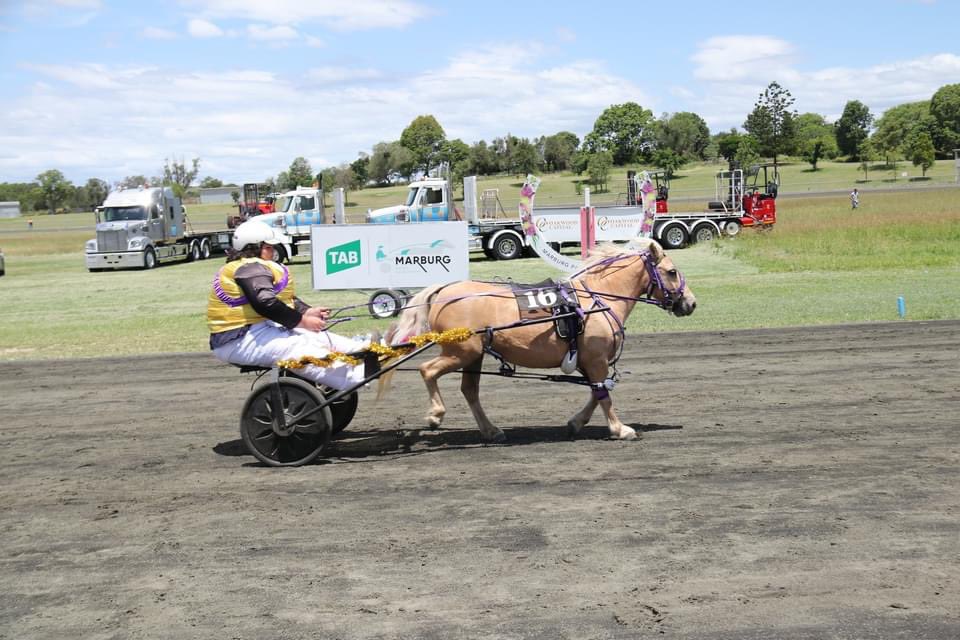 HollyMelksham's tweet photo. #lastracemeetingatmarburg#winner#wes https://t.co/CqTQzjeeji