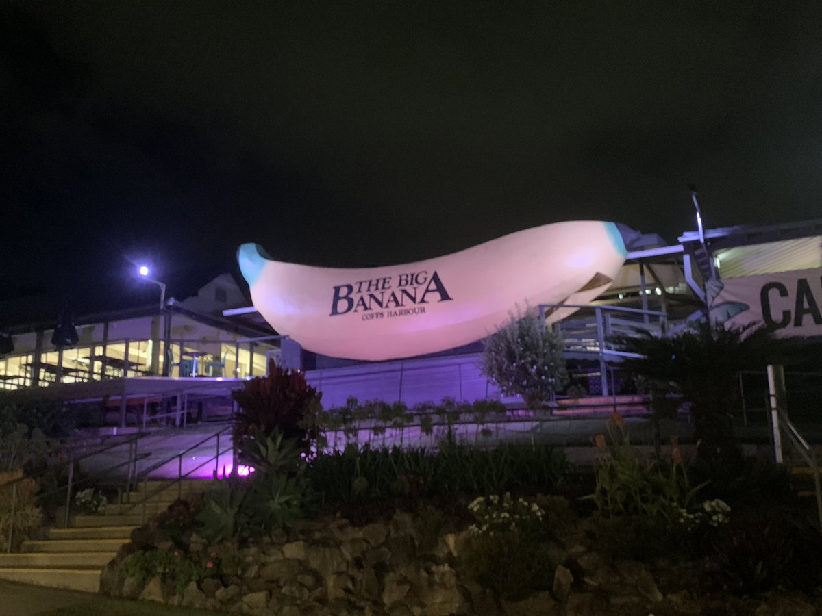 Tim Watkins tweet media