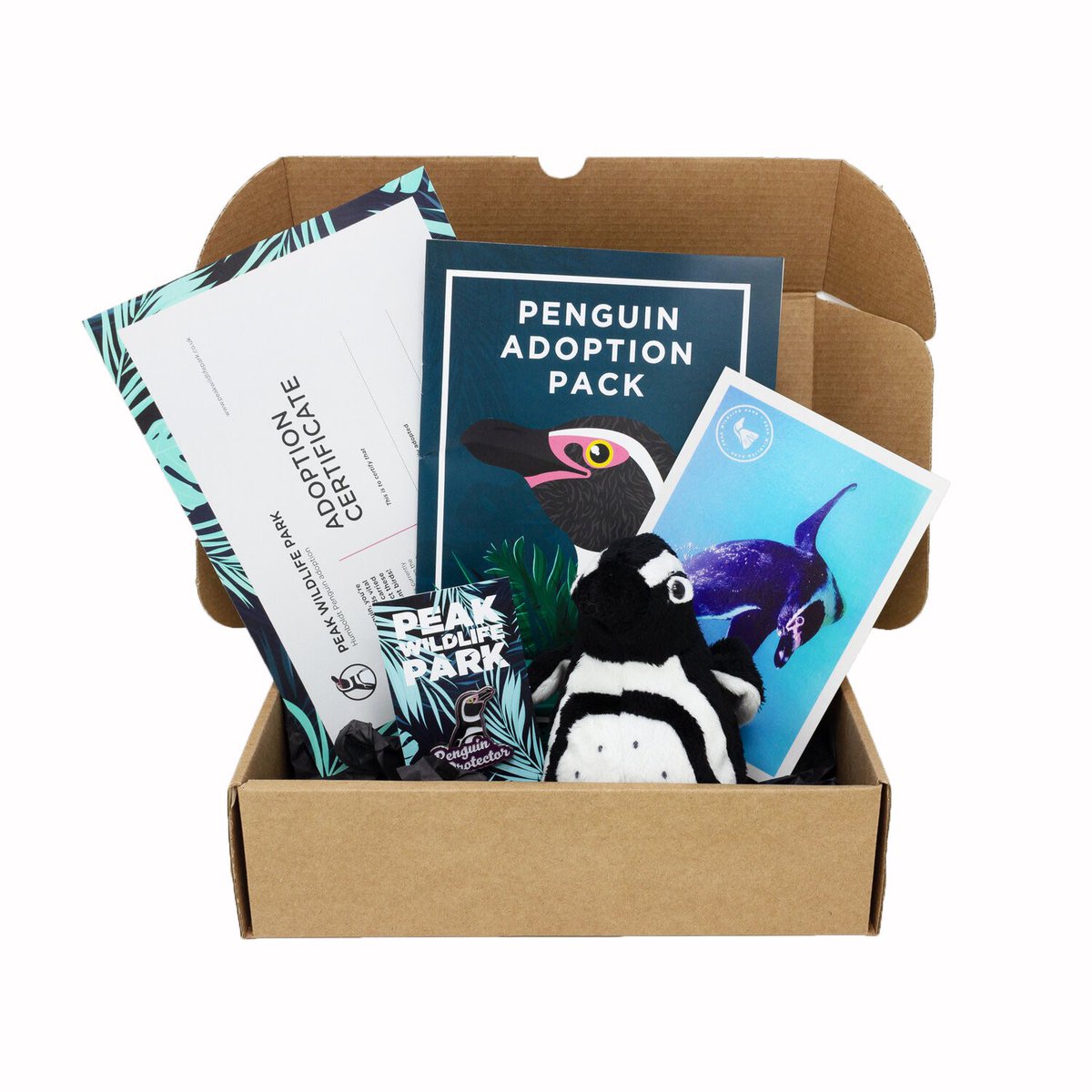 PeakWP's tweet photo. GIVEAWAY DAY 8 🎁

Today we have EIGHT penguin adoption packs up for grabs! 🐧

LIKE, TAG someone and RETWEET this to be in with a chance of winning 🏆 

You have until Midnight!🤞

*T’s and C’s apply

#12DaysOfGiveaways #MerryChristmas https://t.co/NTlUCVuLO0