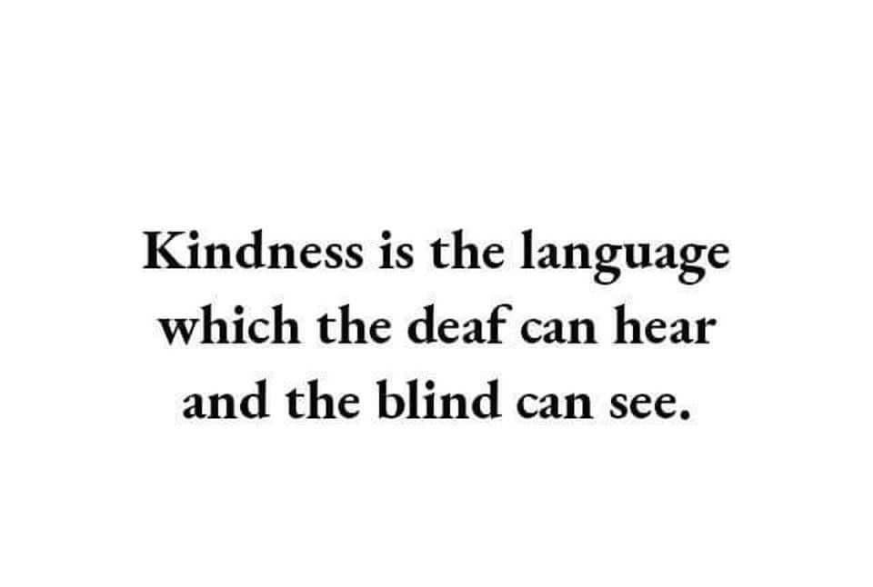 Carla Schumann (@schumanncarla1) on Twitter photo 