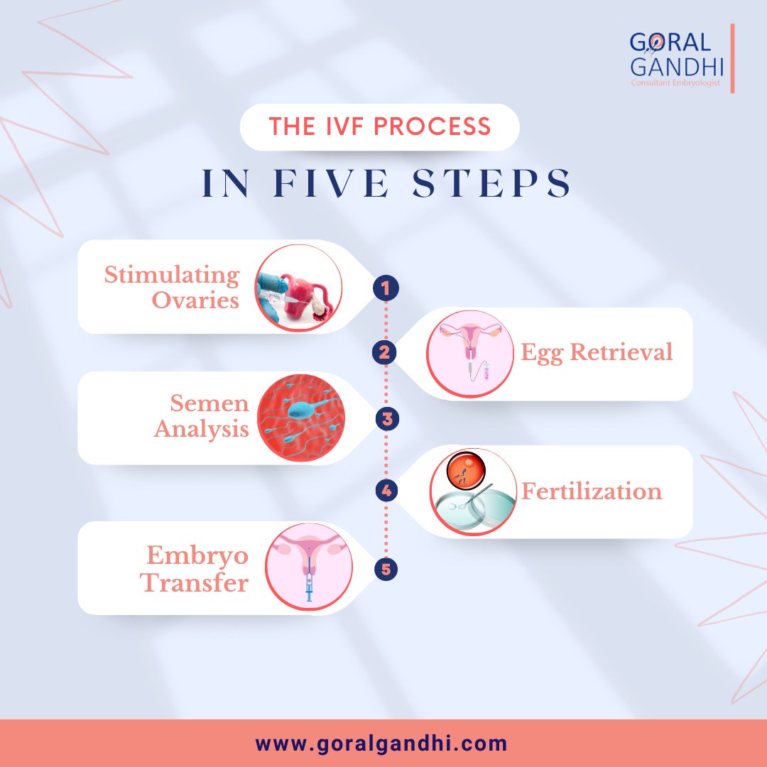 goralgandhi's tweet photo. The IVF process in simple five steps! How does the IVF process work, know more. 
#ivf #ivfinmumbai #ivfcommunity #ivftreatment #ivfprocess #ivfbaby #ivfspecialist #ivfdoctor #ivfclinic #ivfcenter #ivfcost #mumbai #embryologist #fertilization #eggretrieval #semenanalysis https://t.co/dNK2ExXFXq