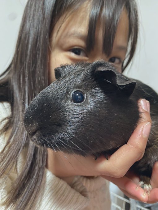 Twitterのコスプレ画像50