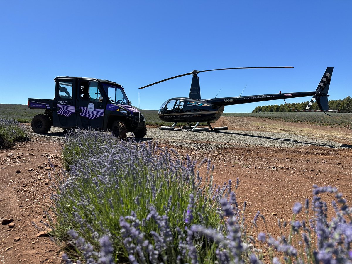 It’s always nice when friends drop in