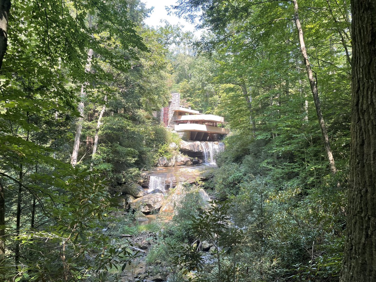 Jen Nicholas tweet media