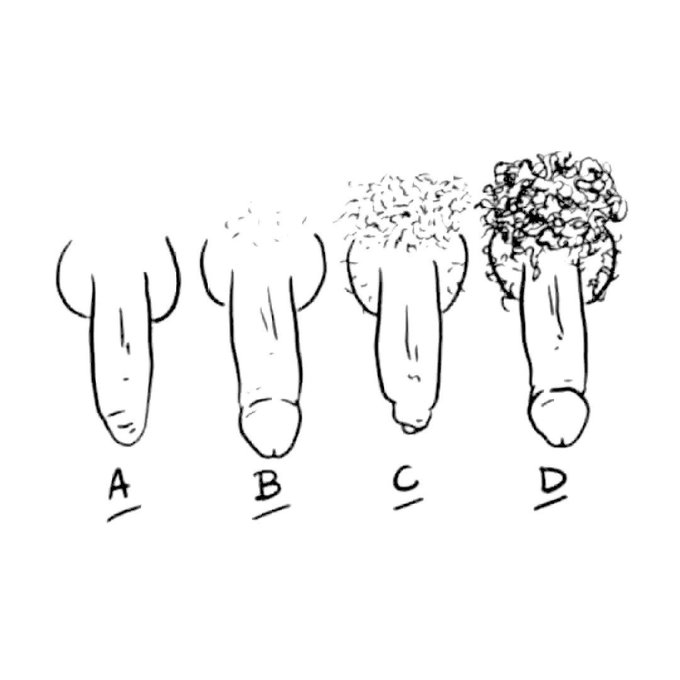bigcock_hair