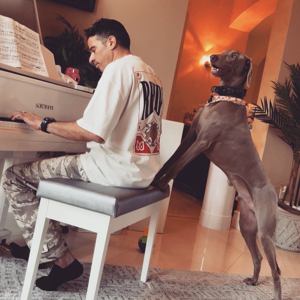 Serge Devant tweet media