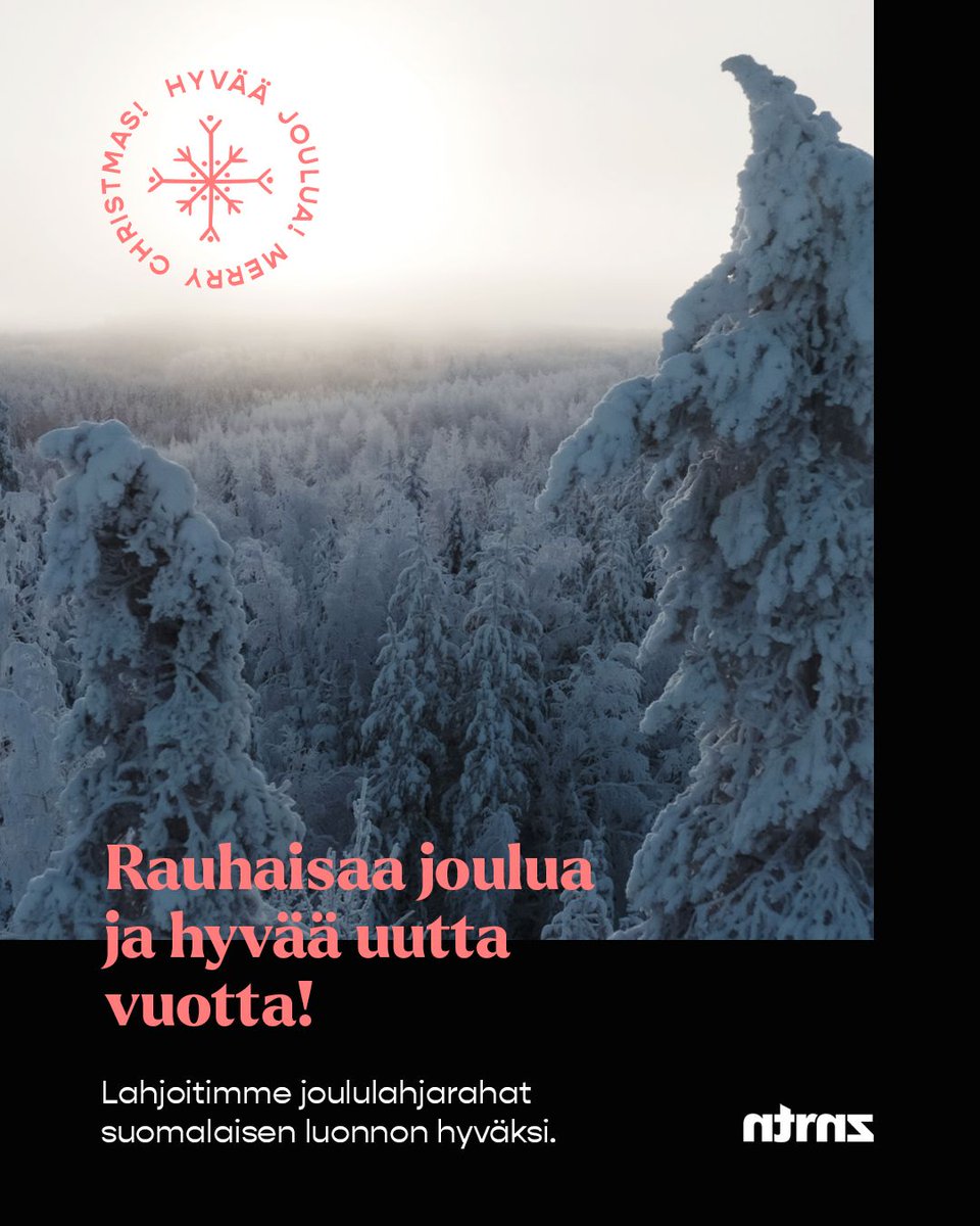 Rauhaisaa joulua ja hyvää uutta vuotta kaikille! Lahjoitimme joululahjarahat Suomen luonnonsuojeluliiton suomalaisten metsien, vesien ja soiden hyväksi tehtävän suojelutyön. / Merry Christmas and Happy New Year to all!