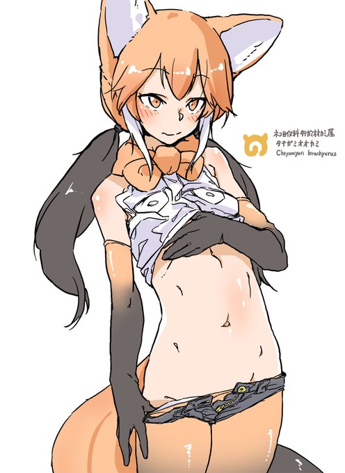 タテガミオオカミさんかわよ。イヌ科最速! 