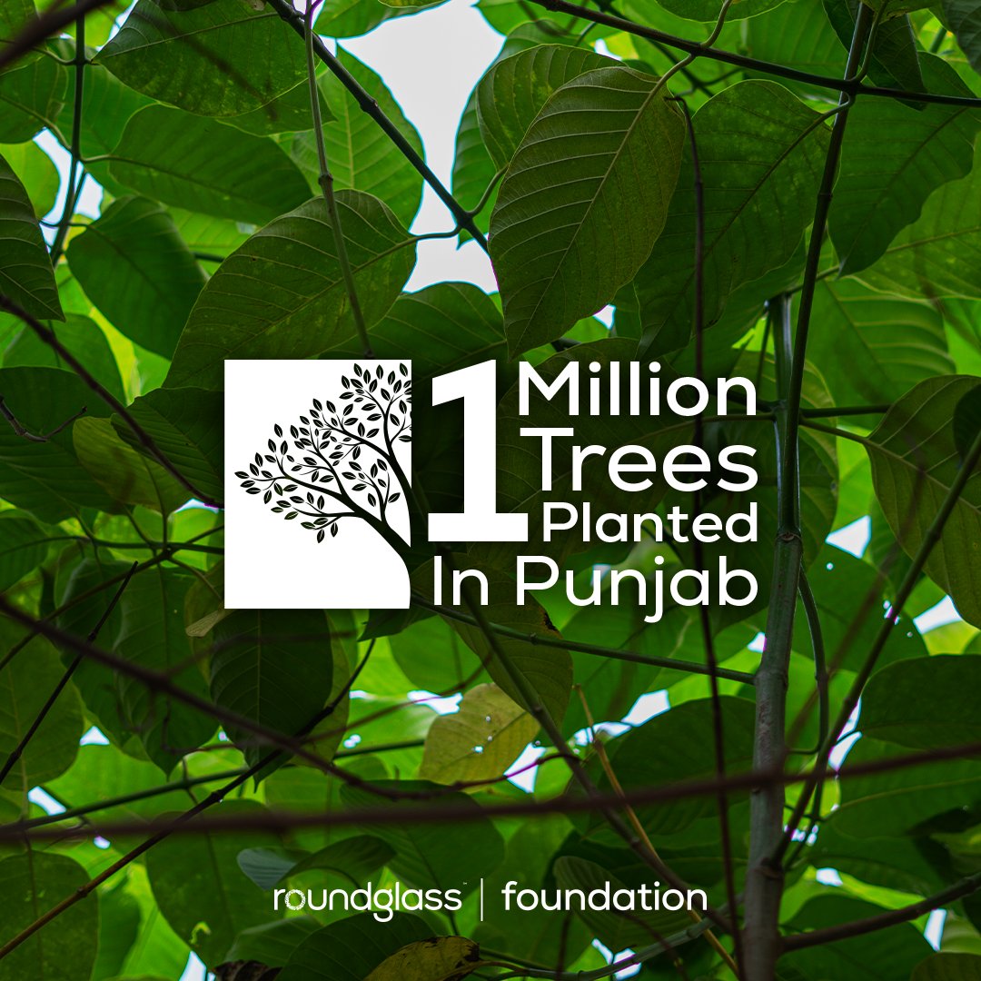 RoundglassFdn's tweet image. Great news to share, we have now planted 1M trees in the villages of #Punjab. We have been planting trees and creating mini forests since 2019. We are on a mission to plant 1 billion trees.

@meet_hayer @PunjabGovtIndia #plant #environment #1M #1Million #milestone