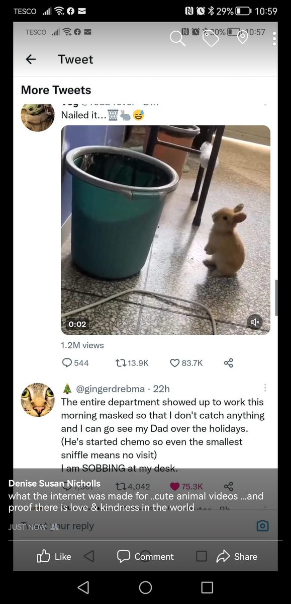deniseindevon's tweet photo. @gingerdrebma what the internet was made for ..cute animal videos and proof there is so much love and kindness in the world...wishing you a 2023filled with health and happiness https://t.co/SeYTqWAvRC