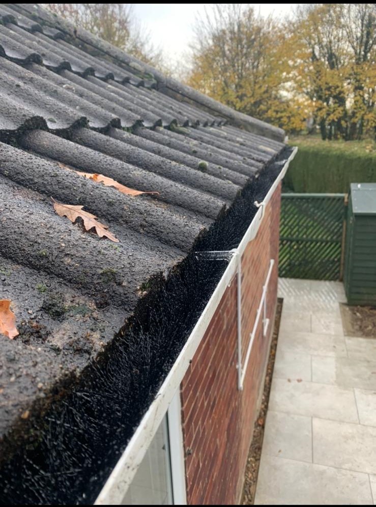 Millenniumpest's tweet photo. As it gets colder, rodents will find ever more creative ways to get into the warm nooks &amp; crannies of your property, including through guttering! Our Rodent Proofing gutter brush can put a stop to this! https://t.co/ZpnvTJLMY0
#professionalpestcontrol #ukpestcontrol #pestfreehome https://t.co/hjOsQrSd7I
