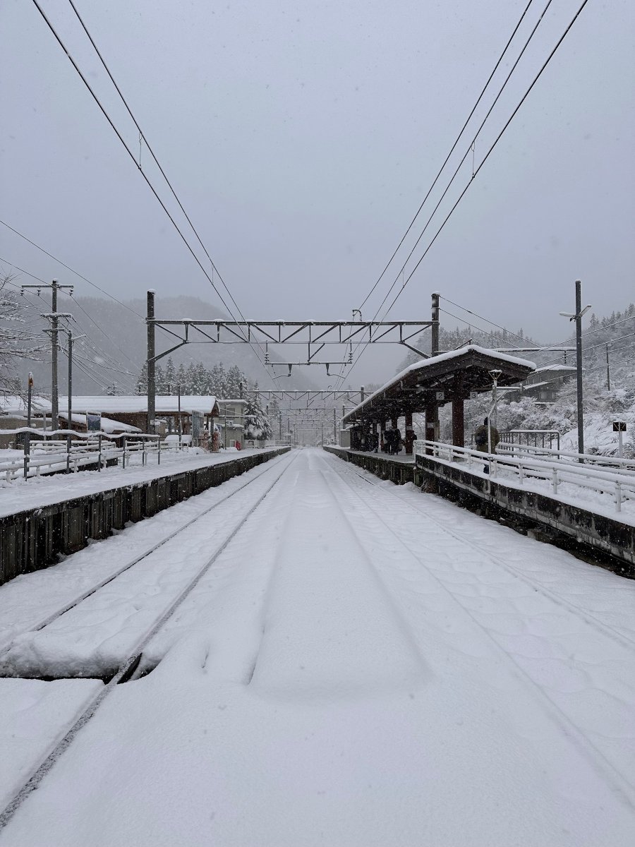 Jeffrey Bergier tweet media