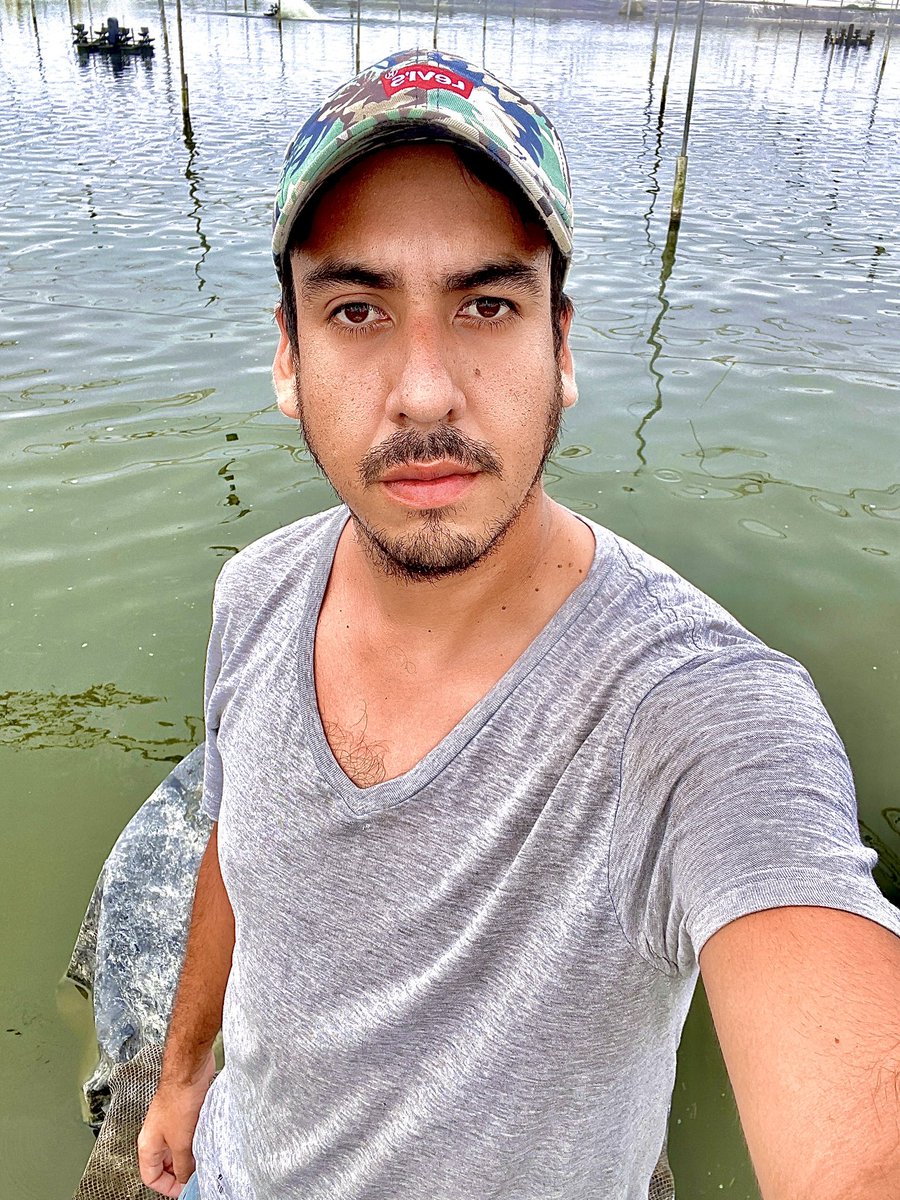markops3's tweet photo. 🦐 https://t.co/Gz8B6fGzGr