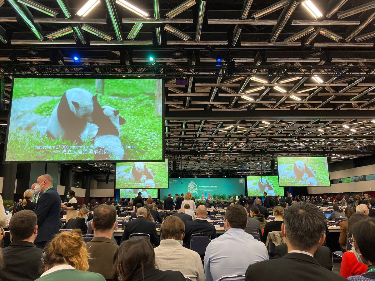 TroelsDamChristensen (@troelsdamchrist) on Twitter photo Den nye globale aftale på #COP15 om bevarelse af verdens natur og biodiversitet indeholder både godt og mindre godt
Læs vores pressemeddelelse og take på den nye aftale 92grp.dk/fokus-og-nyhed… #dkpol #dkaid #dkgreen #dkmedier Den nye globale aftale på #COP15 om bevarelse af verdens natur og biodiversitet indeholder både godt og mindre godt
Læs vores pressemeddelelse og take på den nye aftale 92grp.dk/fokus-og-nyhed… #dkpol #dkaid #dkgreen #dkmedier