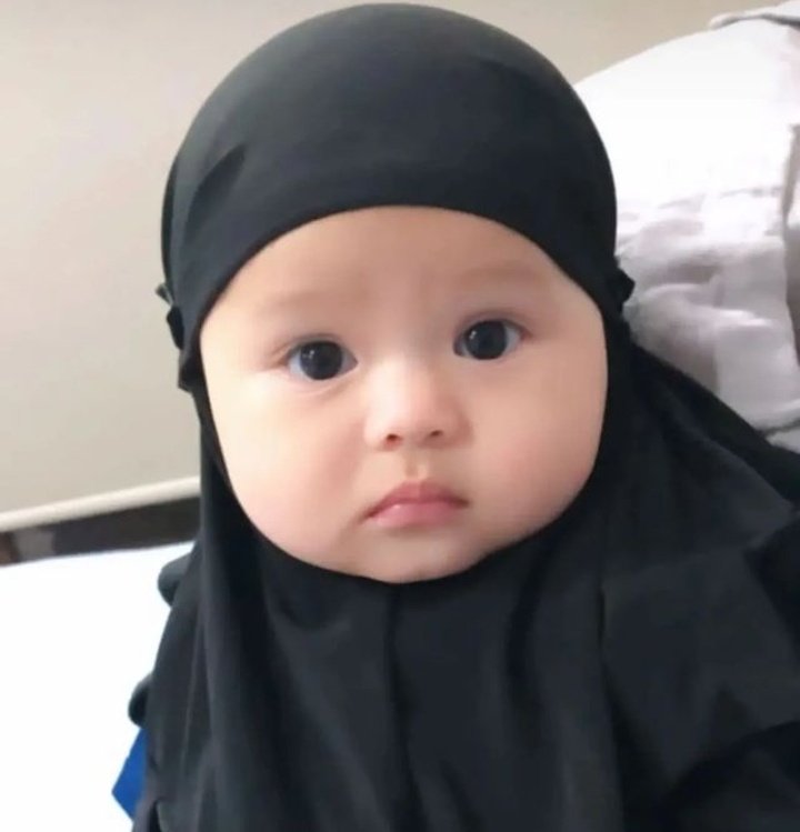 Kafdrone_'s tweet photo. @tanyakanrl Kucingnya mirip ameena https://t.co/wGCtnxveBQ