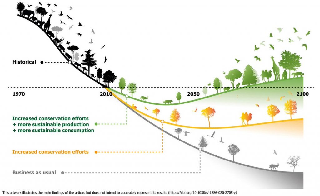 CREAF_ecologia's tweet image. La #COP15 ha arribat al seu final i per fi tenim un acord per protegir i restaurar la #biodiversitat del planeta 🌷🐝🐹 Quins compromisos s'inclouen? El número clau és el 3⃣👇

✔️30% de protecció de la #natura.
✔️30% de restauració dels ecosistemes.
✔️2030 data límit per fer-ho.