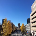 ツイートに含まれる画像