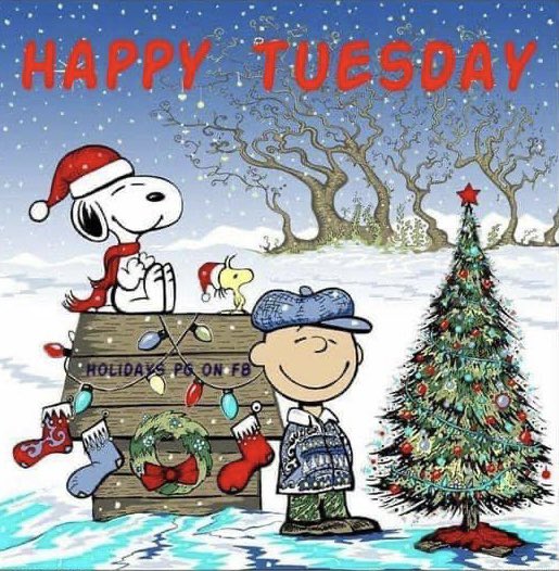 Rita K. Foil (@ritafoil) on Twitter photo 