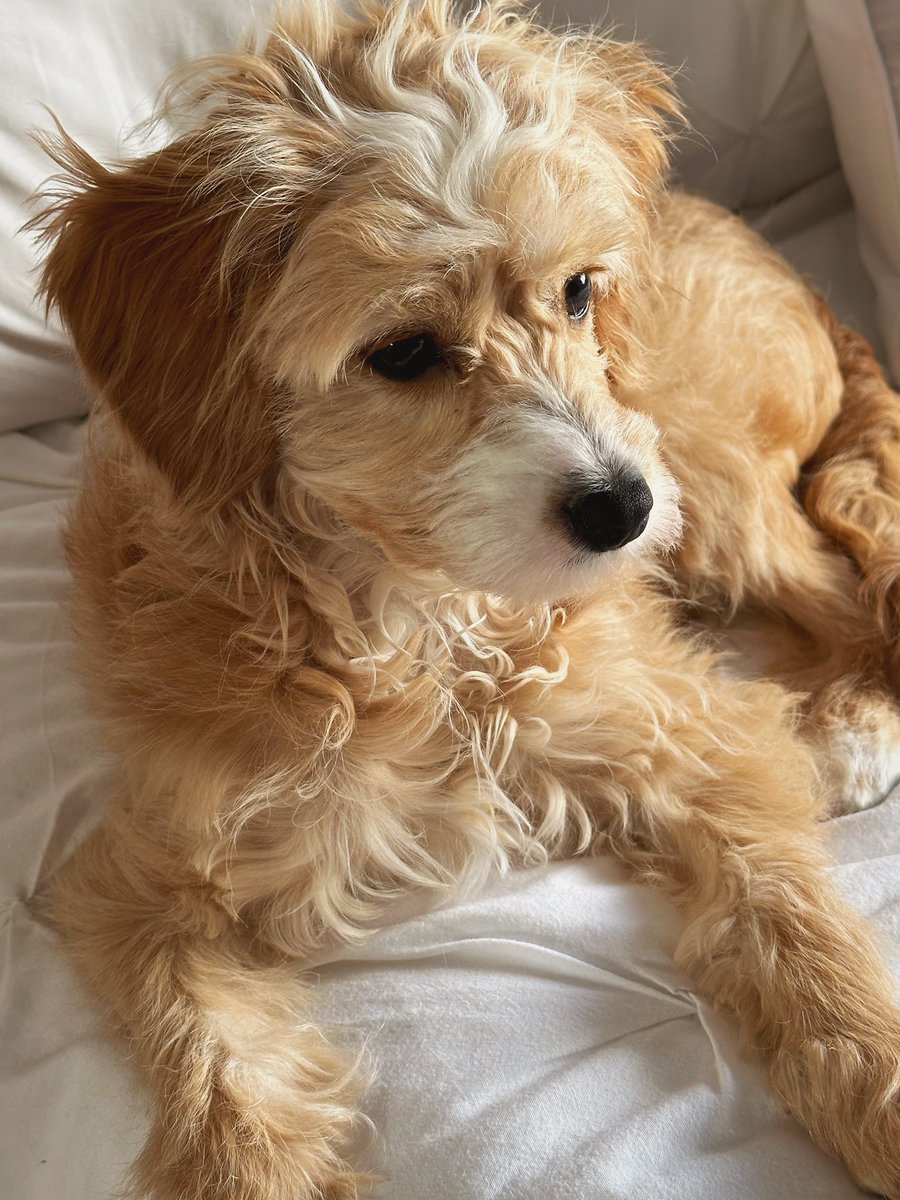 💖 I’ll never tire of taking photos of her