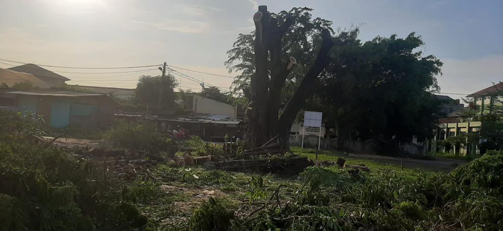 Pohon udah tahunan tumbuh, indah rimbun sbg RTH tanpa ada sosialiasai ke warga via Ketua RW langsung tebang aja, @KementerianLHK <a href="/jdih_klhk/">JDIH Kementerian LHK</a>