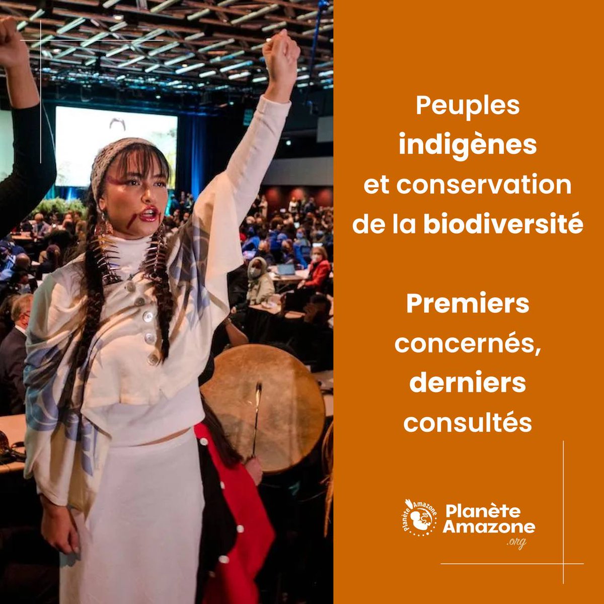 PlaneteAmazone's tweet photo. ✊#COP15 : le Forum International Indigène sur la Biodiversité (IIFB) exige de jouer un rôle plus important dans les négociations et la planification des aires protégées sur leurs territoires. https://t.co/vx0qyRAtvc #PlaneteAmazone #AGMN #IIFB #AllianceDesGardiens https://t.co/6XiqWCIEiY